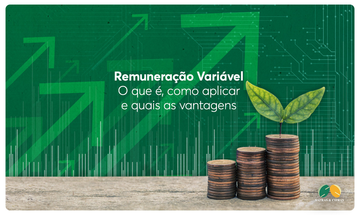 Safras & Cifras Remuneração Variável o que é, como aplicar e quais as vantagens Safras & Cifras Remuneração Variável o que é, como aplicar e quais as vantagens